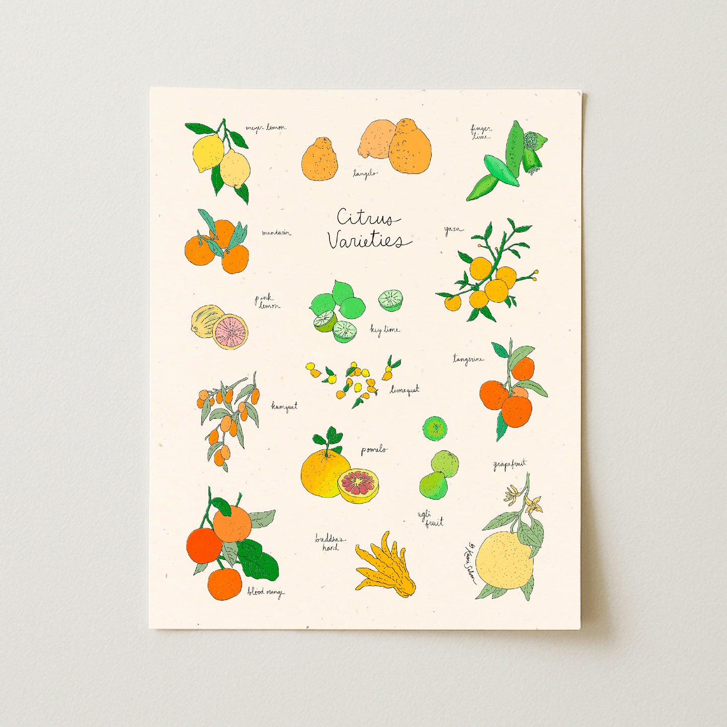 Citrus Varieties Art Print