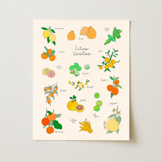 Citrus Varieties Art Print