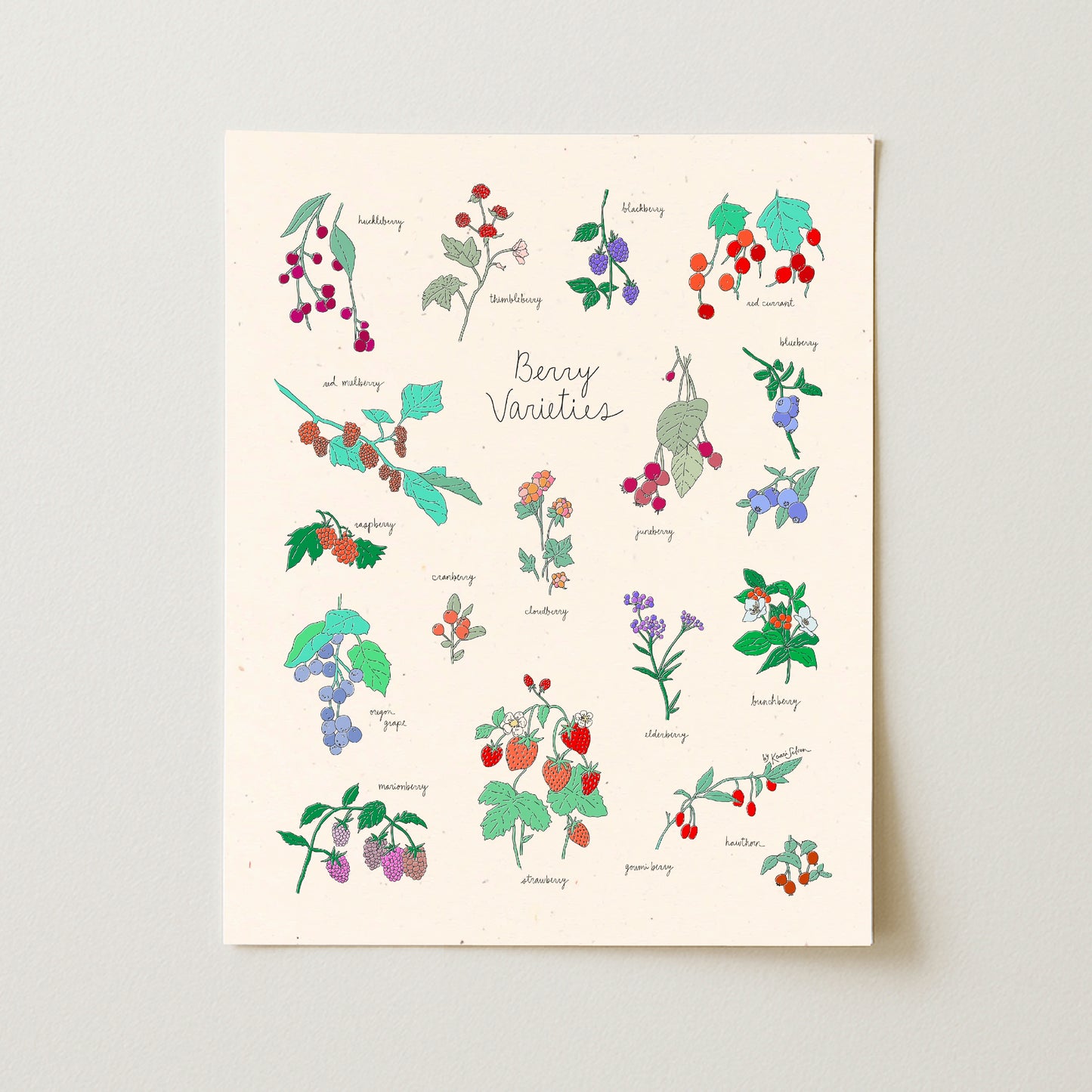 Berry Varieties Art Print