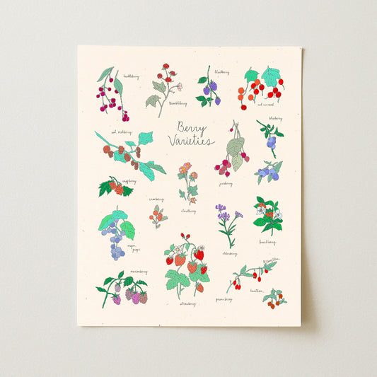 Berry Varieties Art Print