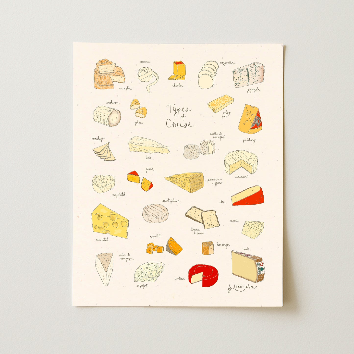 Types of Cheese Art Print - Open Edition