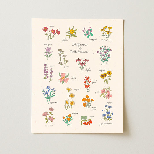 Wildflowers of North America Art Print