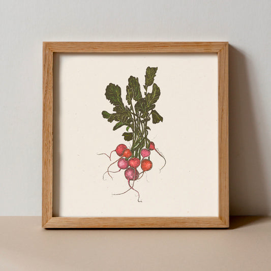 Bunch of Radishes Art Print - Open Edition