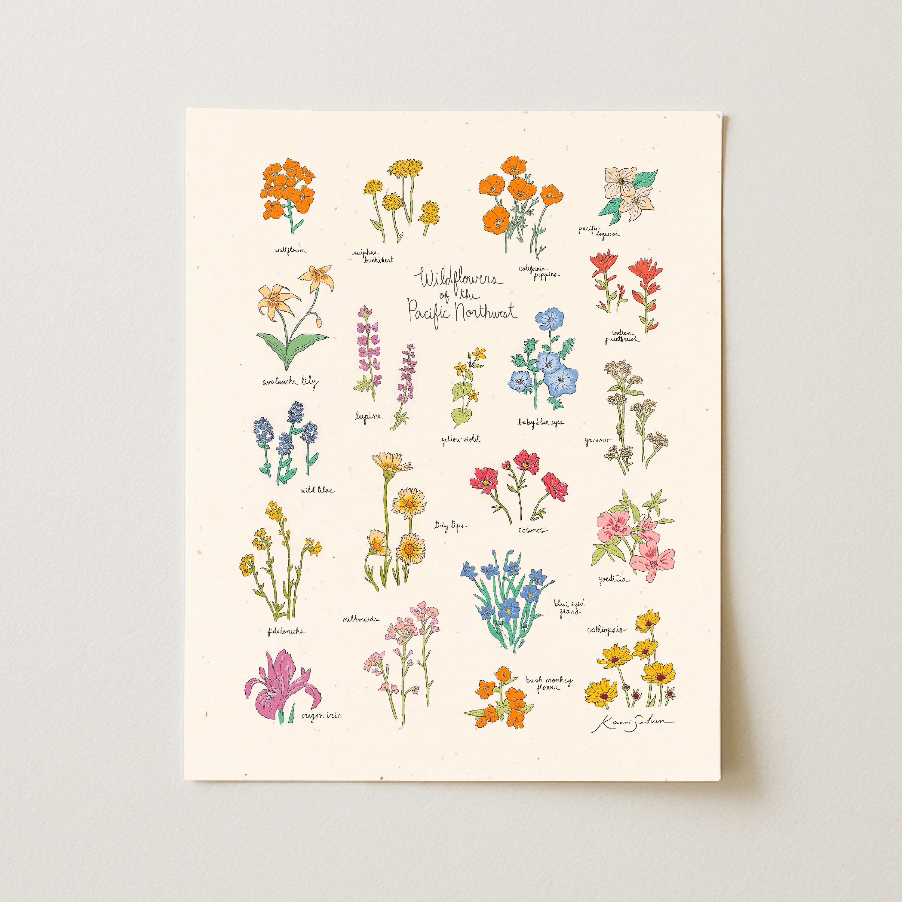 Wildflowers of the Pacific Northwest Art Print – Kaari & Co.