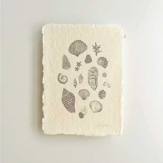Seashell Sketches II Heirloom Art Print