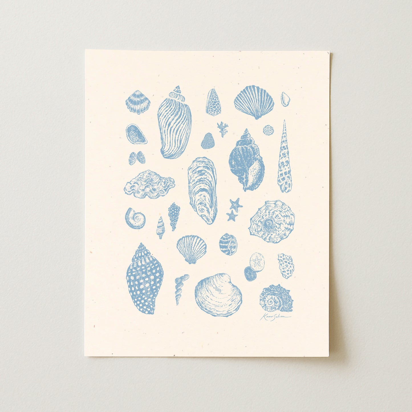 Seashells II Art Print