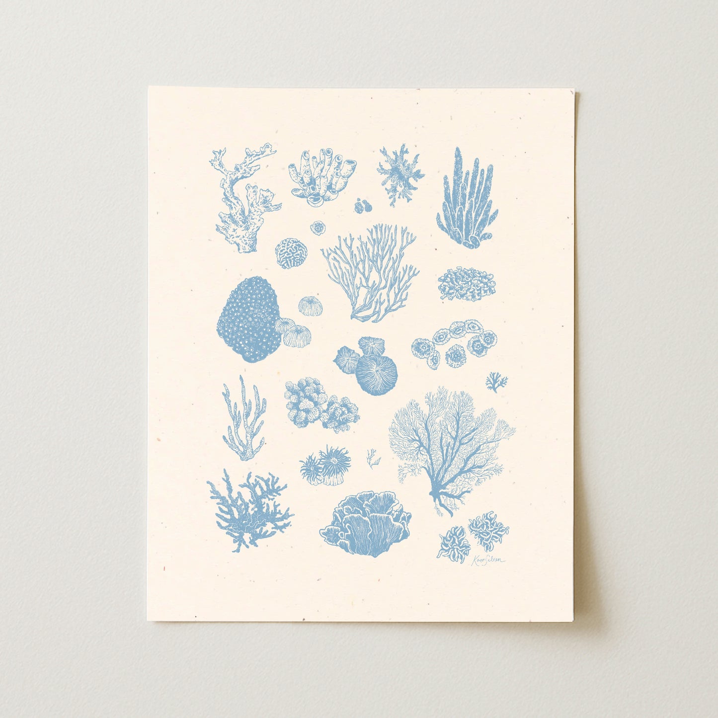 Coral II Art Print