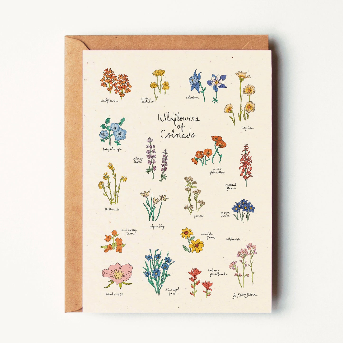 Wildflowers of Colorado Greeting Card