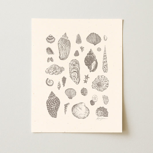 Seashells II Art Print