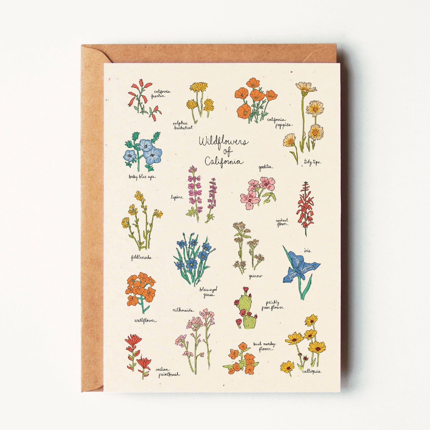 Wildflowers of California Greeting Card
