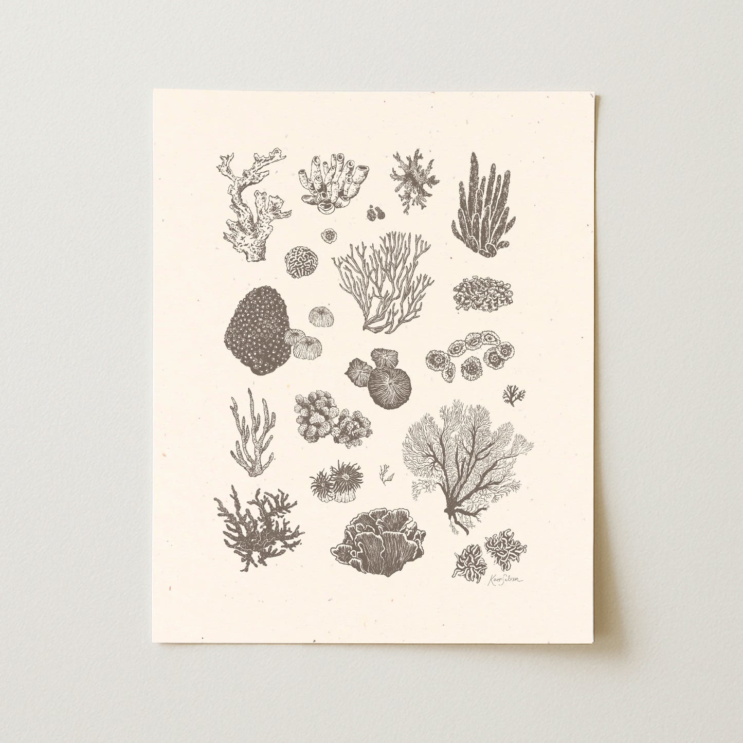 Coral II Art Print
