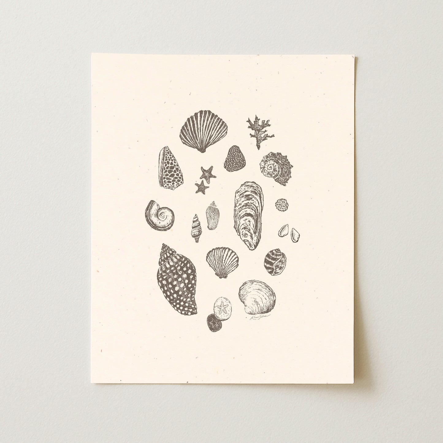 Seashells I Art Print