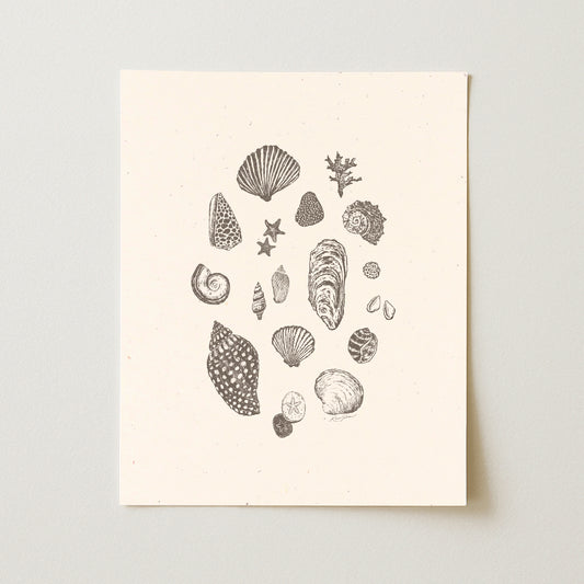 Seashells I Art Print