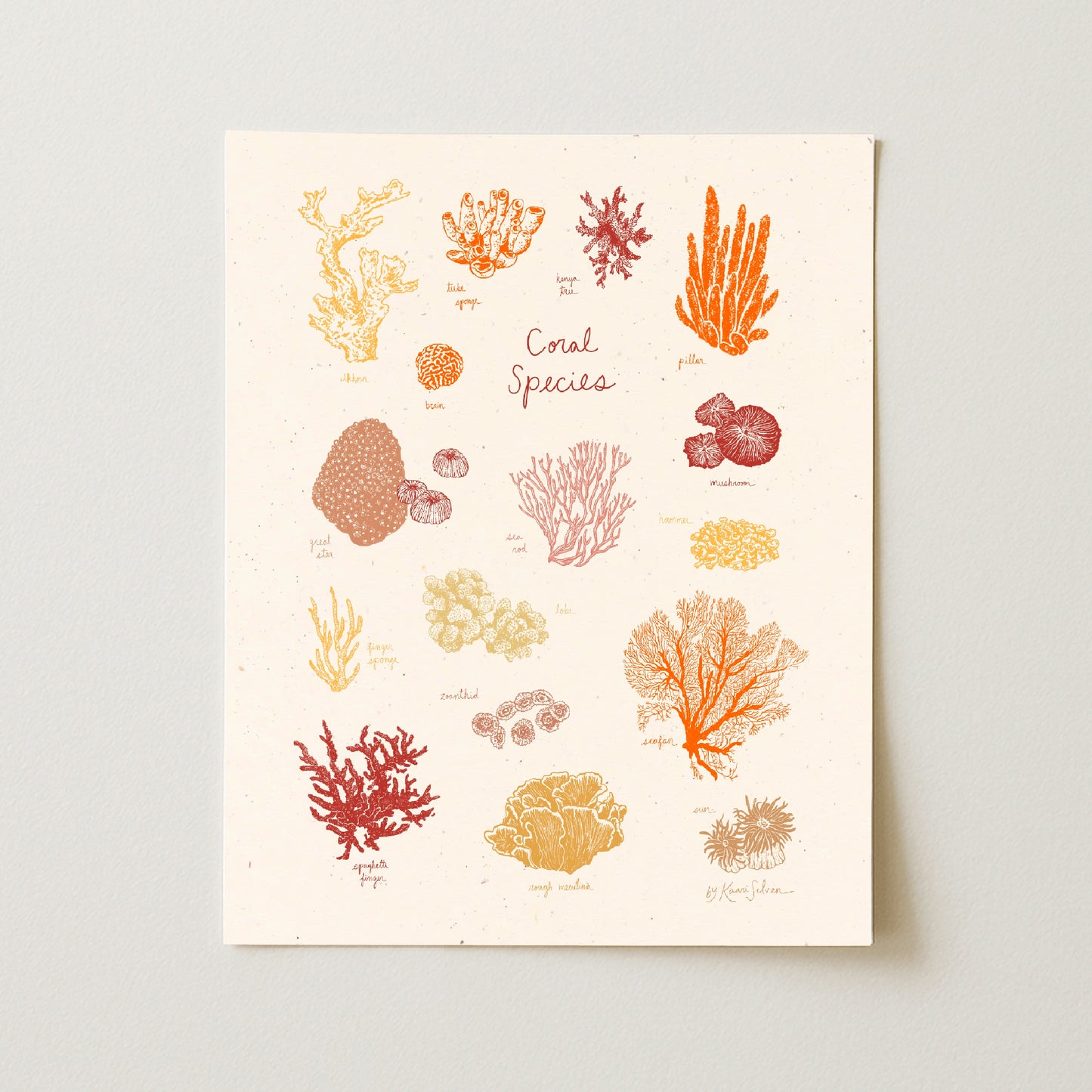 Coral Species Art Print