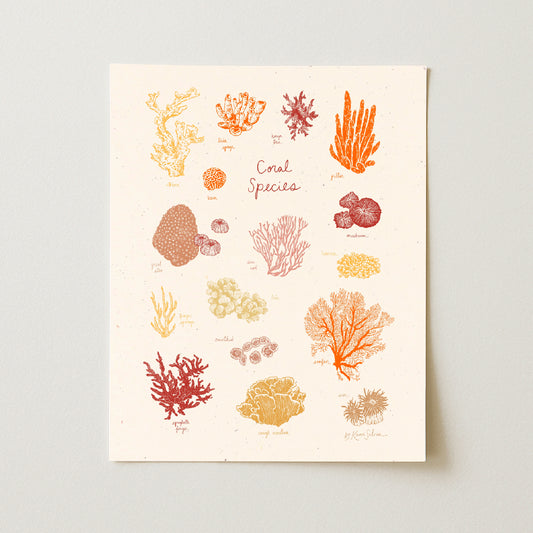 Coral Species Art Print