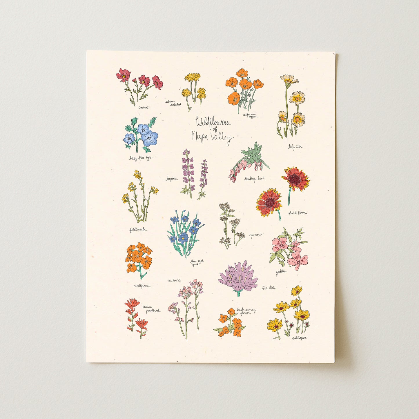 Wildflowers of Napa Valley Art Print