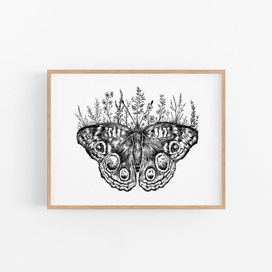 Floral Butterfly Art Print