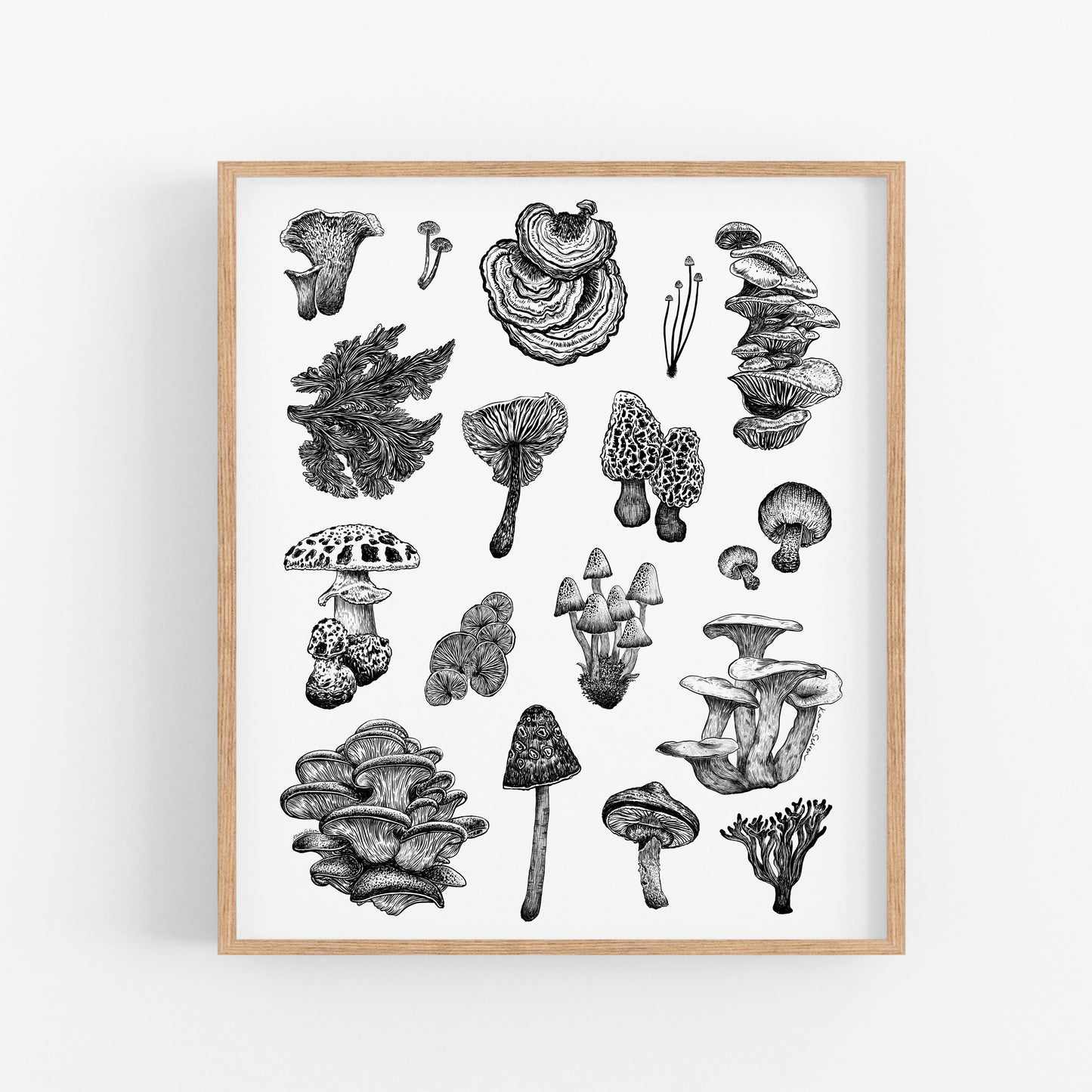 Mushroom Varieties Art Print