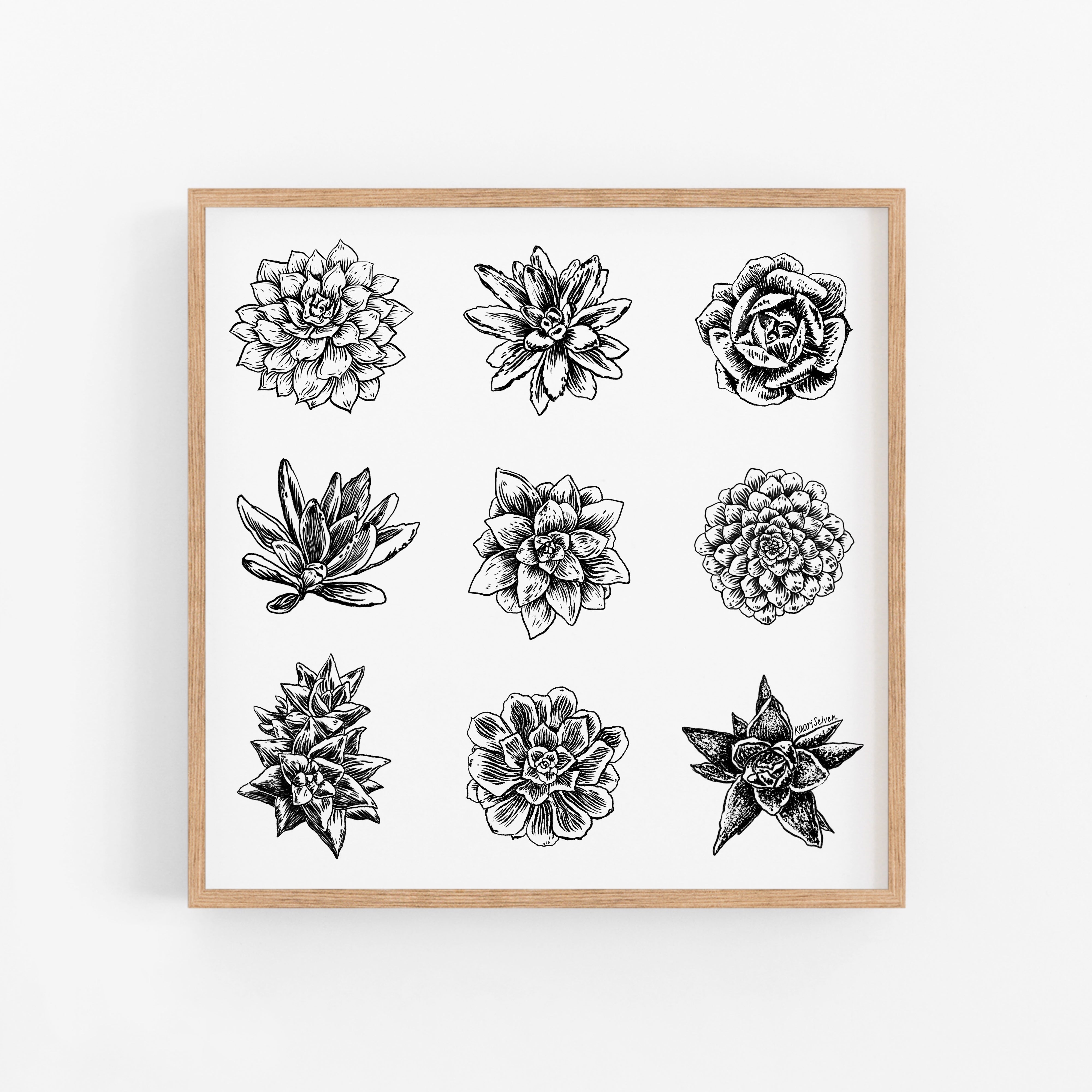 Succulent Varieties Art Print