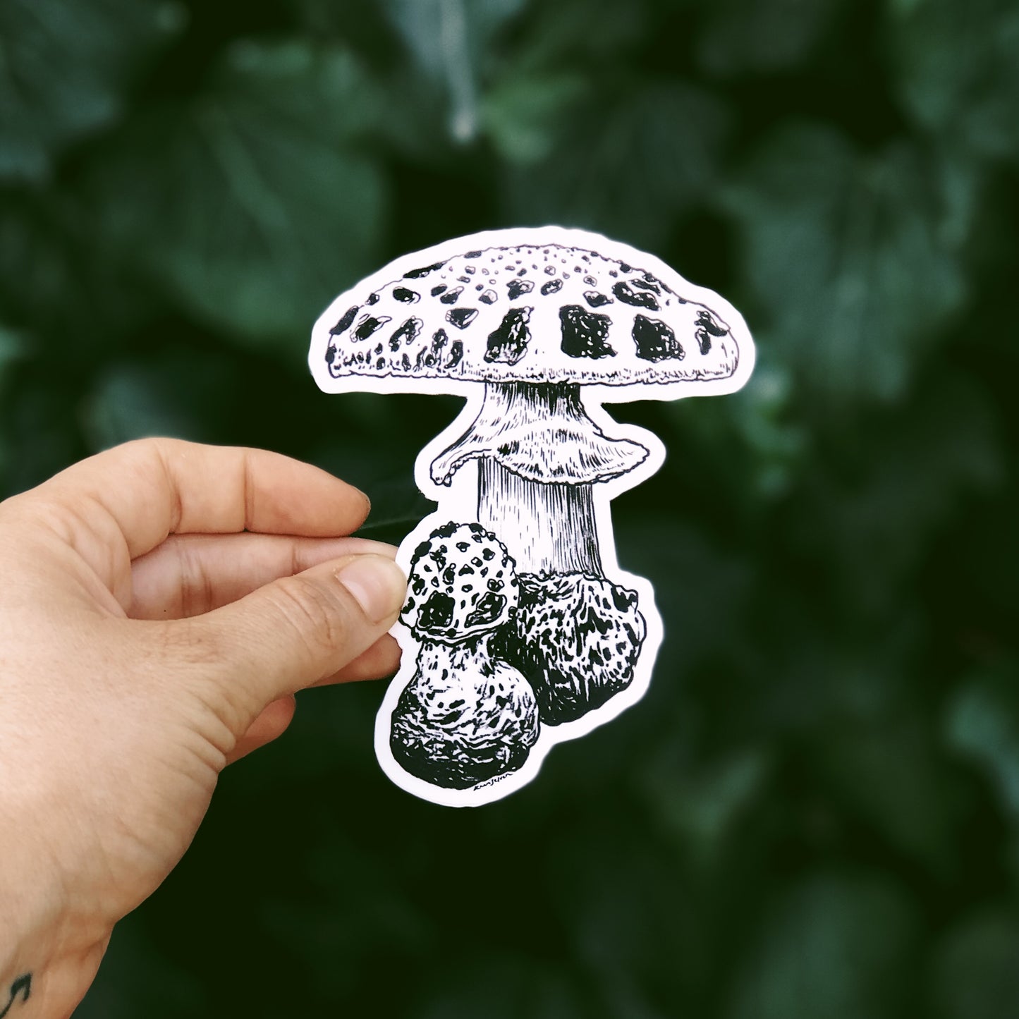 Mushroom I Vinyl Sticker