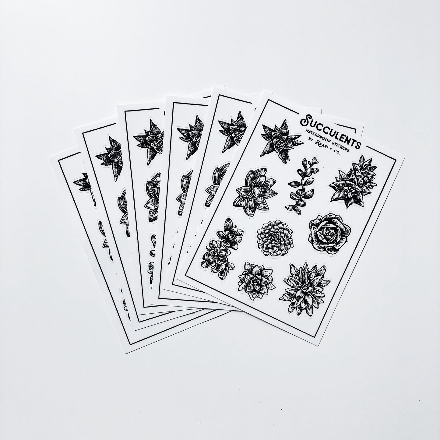 Succulent Varieties Sticker Sheet