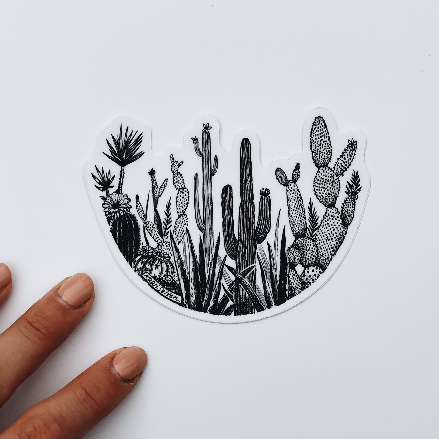 Cacti Circle Vinyl Sticker