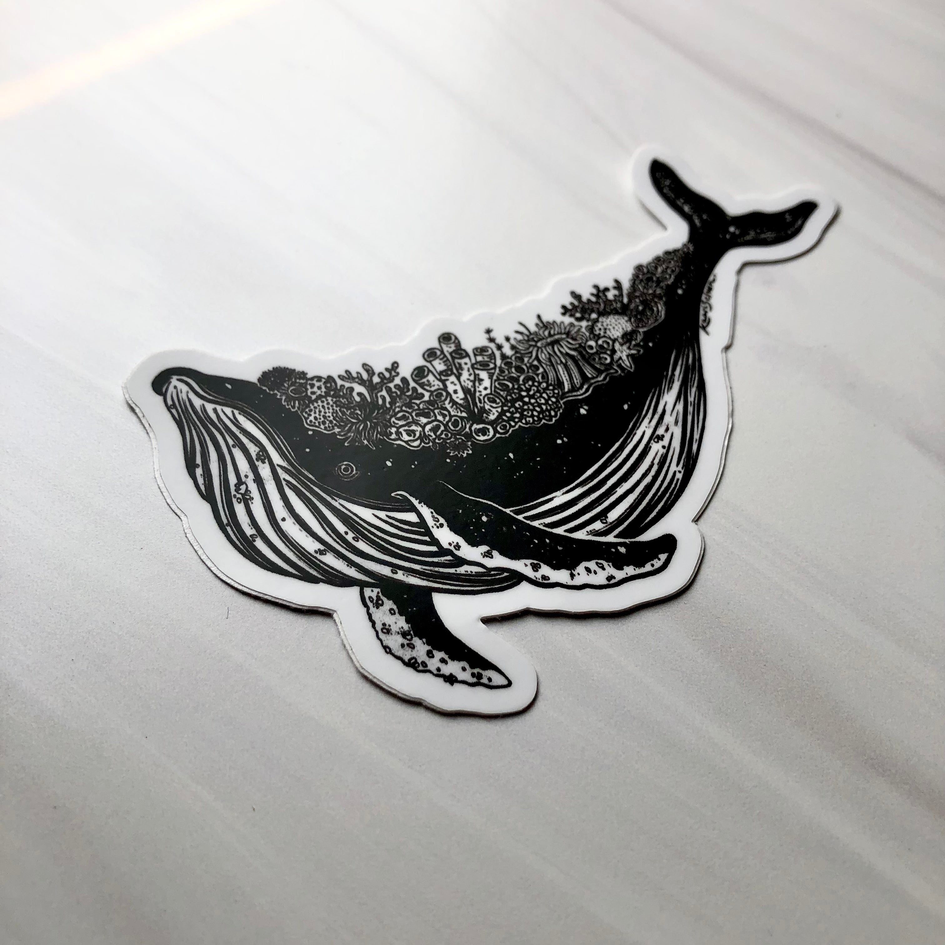 Coral Whale Vinyl Sticker