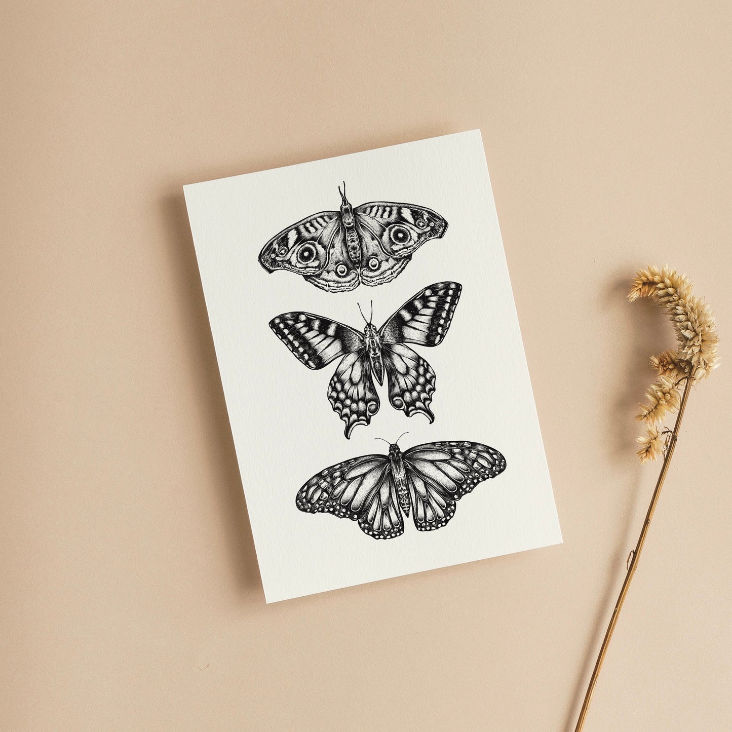 Three Butterflies Art Greeting Card