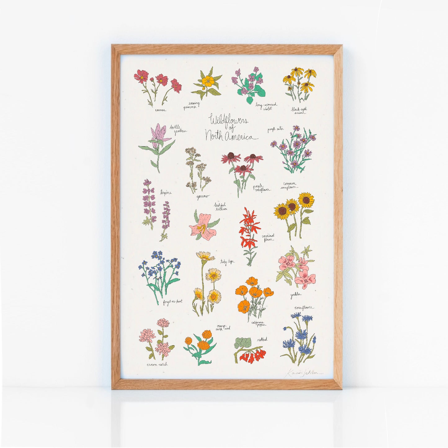 Wildflowers of North America Art Print