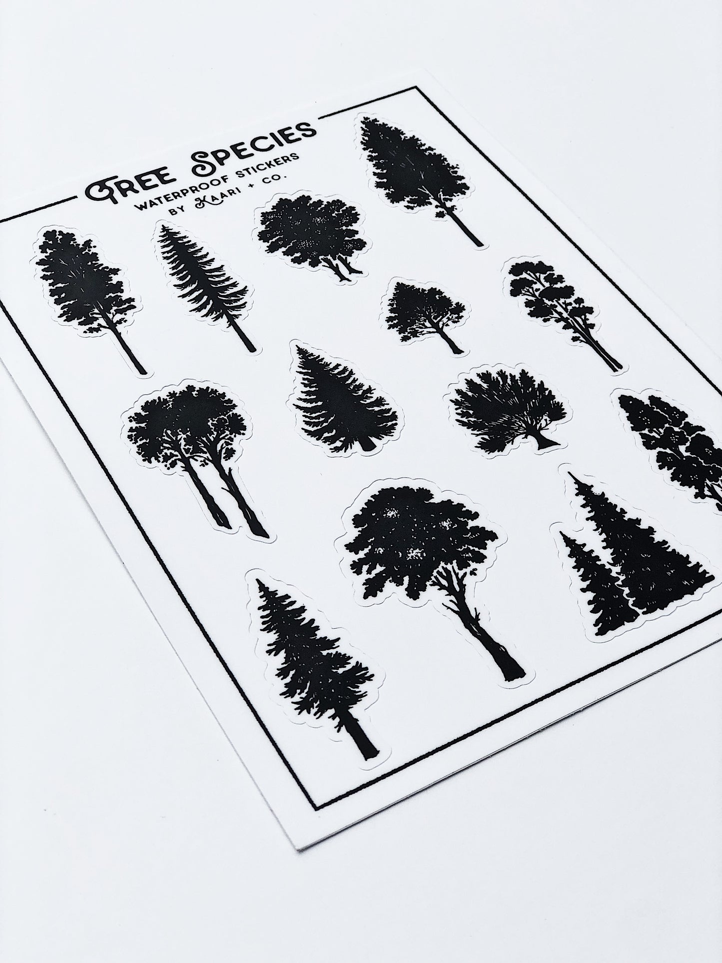 Tree Species Sticker Sheet