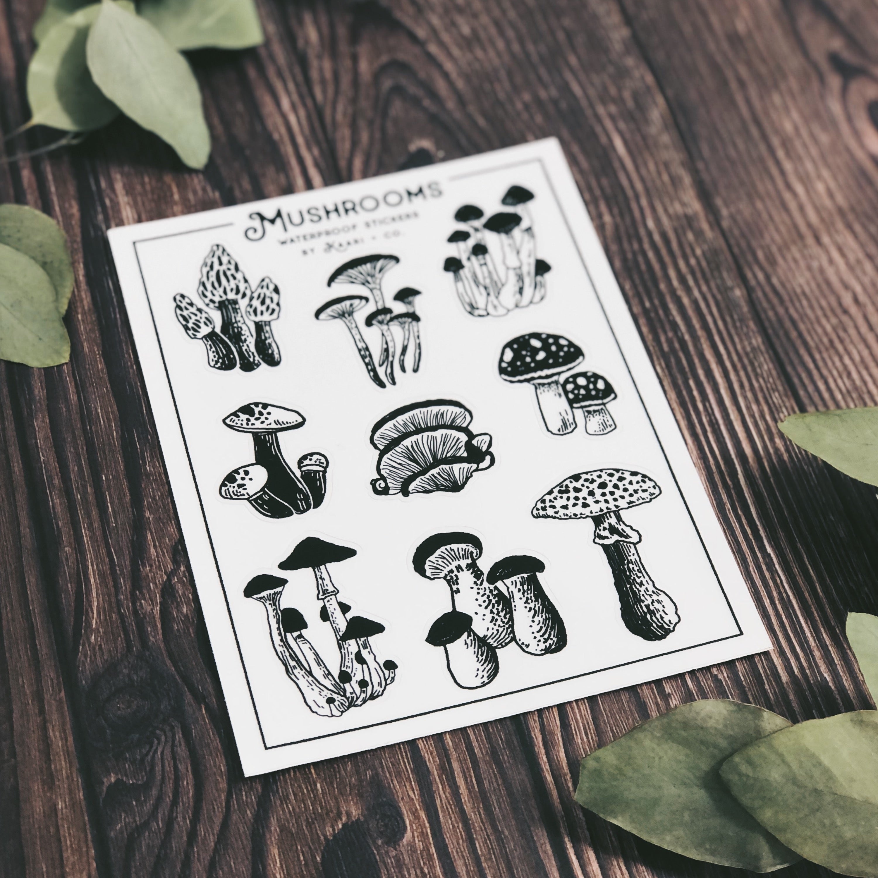 Mushroom Sticker Sheet