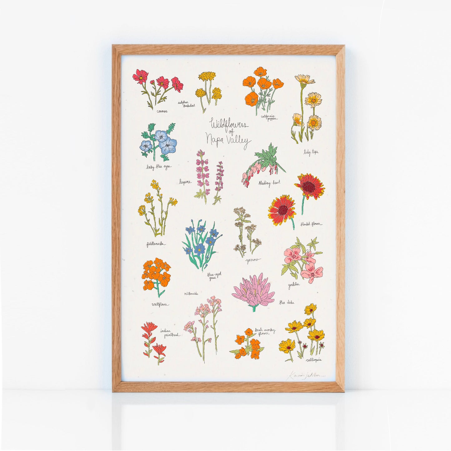 Wildflowers of Napa Valley Art Print