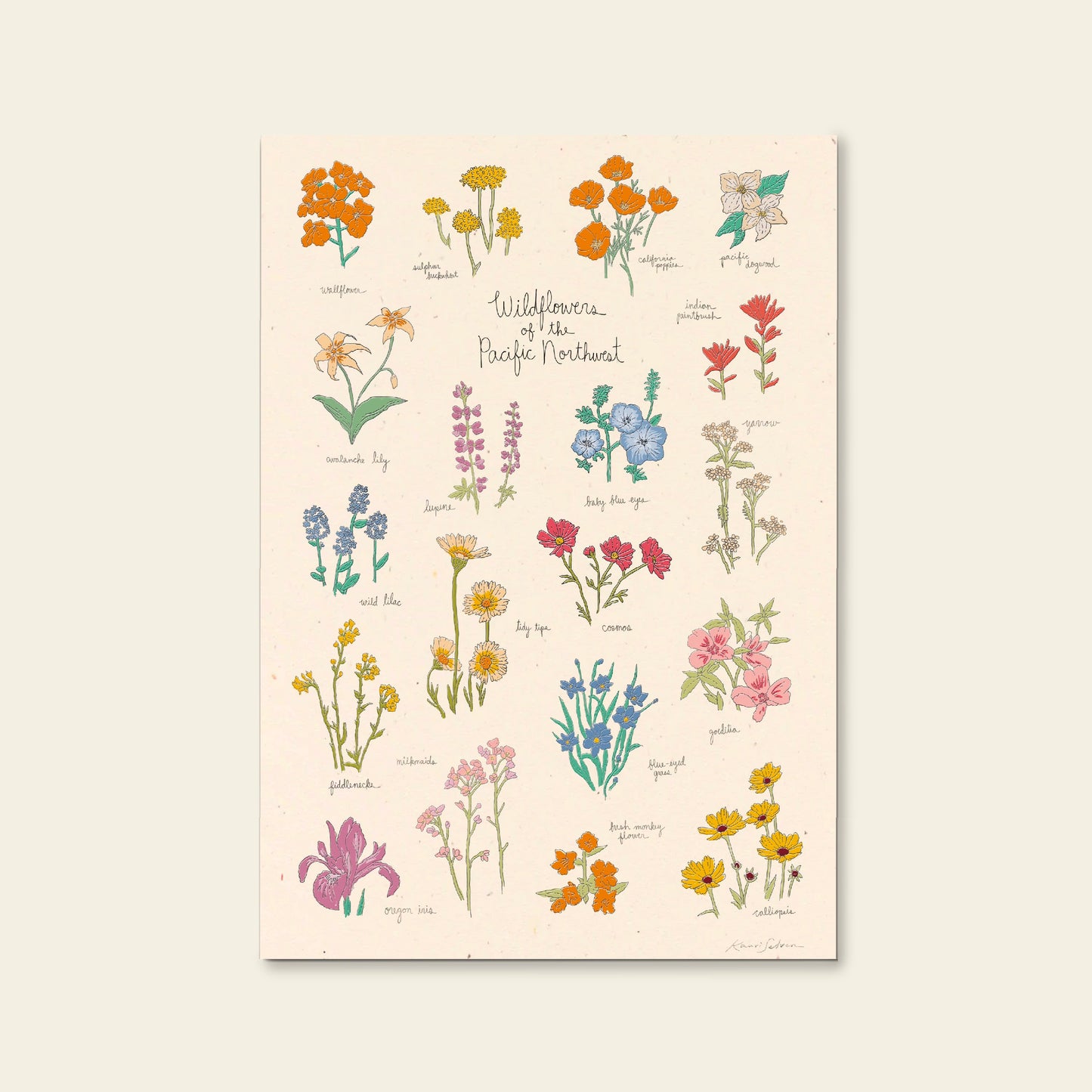 Wildflowers of the Pacific Northwest Art Print